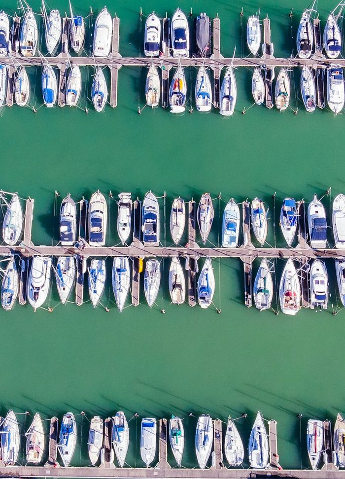 Yachts moored in rows at a New Zealand marina