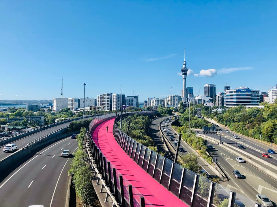 Auckland Sky Tower rising above the city motorway and the pink Lightpath cycleway
