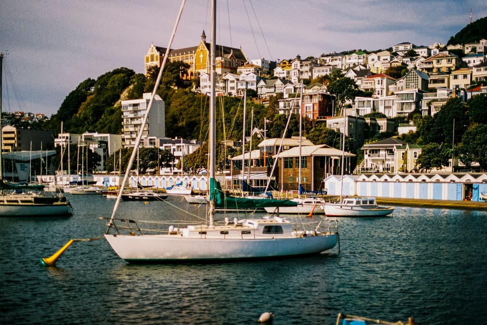 Boats moored in a Wellington marina with houses on the hills behind